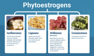 Phytoestrogens